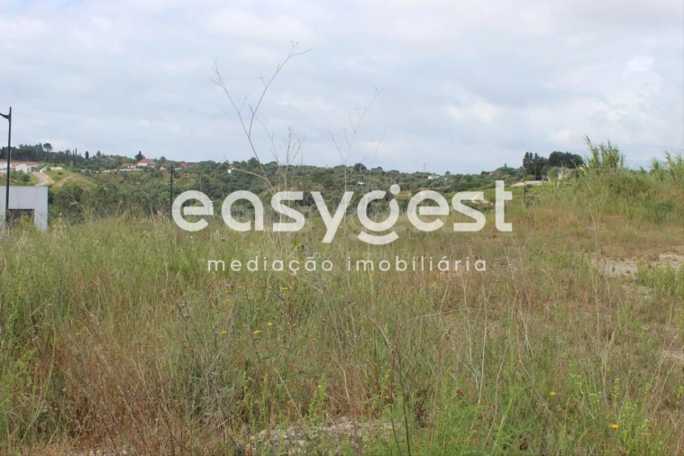 Terreno para Venda em São João Baptista e Santa Maria dos Olivais Foto 7