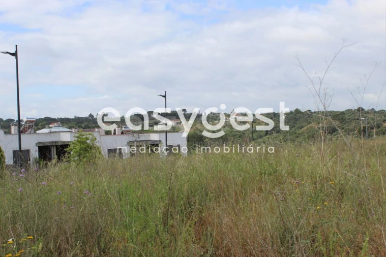 Terreno para Venda em São João Baptista e Santa Maria dos Olivais Foto 8