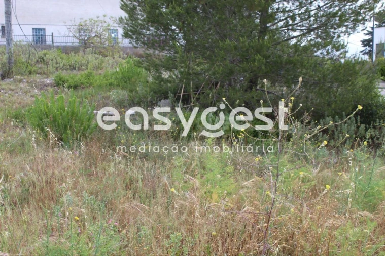 Terreno para Venda em São João Baptista e Santa Maria dos Olivais Foto 9