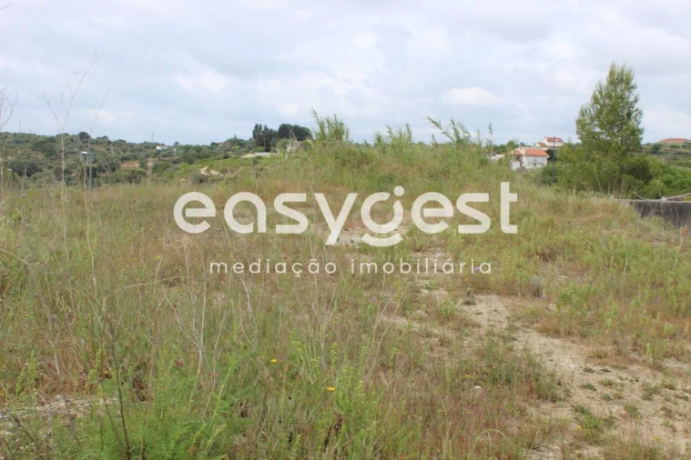 Terreno para Venda em São João Baptista e Santa Maria dos Olivais Foto 10