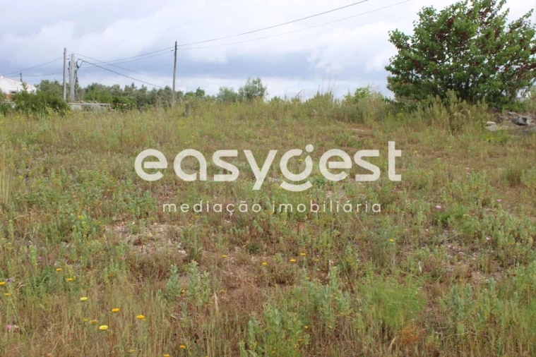Terreno para Venda em São João Baptista e Santa Maria dos Olivais Foto 11