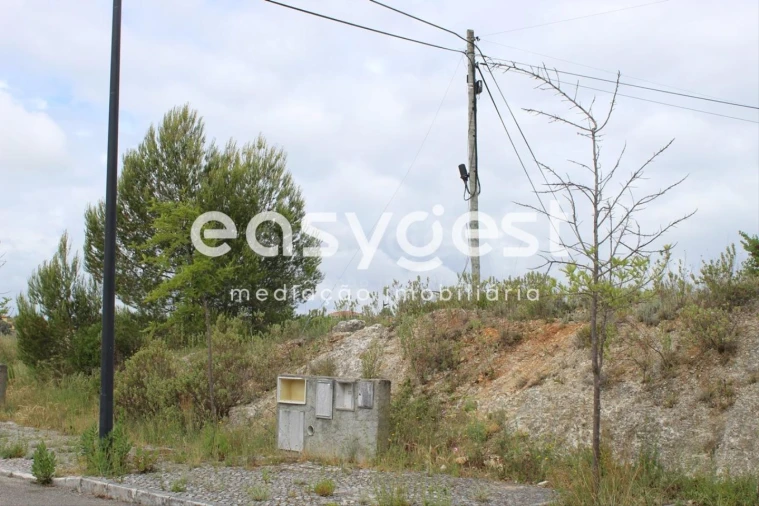 Terreno para Venda em São João Baptista e Santa Maria dos Olivais Foto 12
