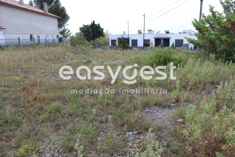 Terreno para Venda em São João Baptista e Santa Maria dos Olivais Foto 14