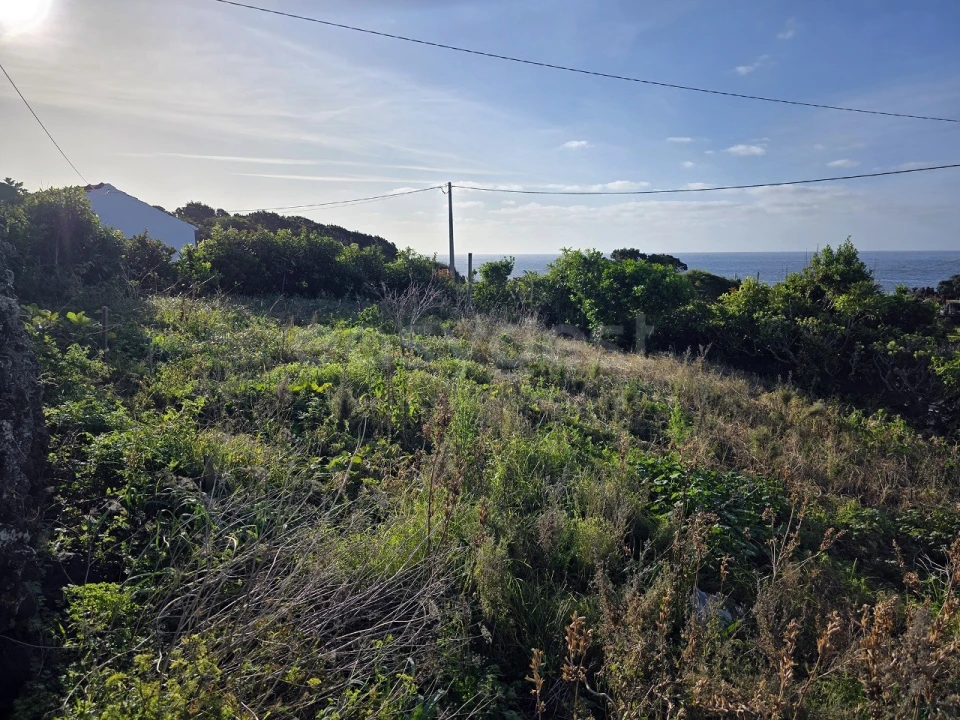 Moradia T2 para Venda em Candelaria Foto 22