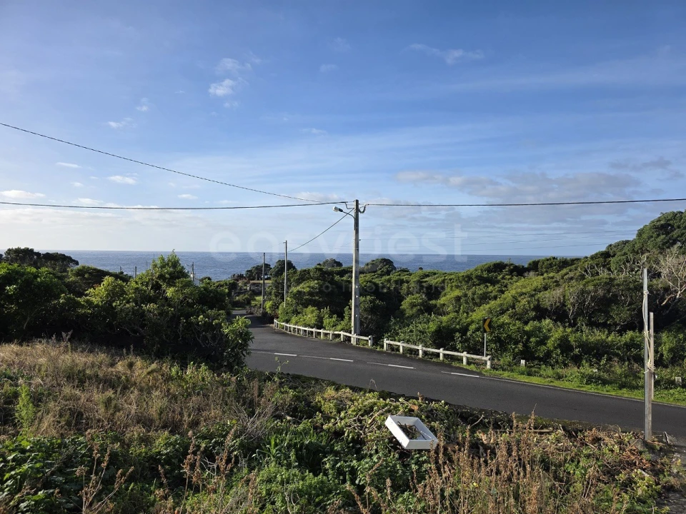 Moradia T2 para Venda em Candelaria Foto 23