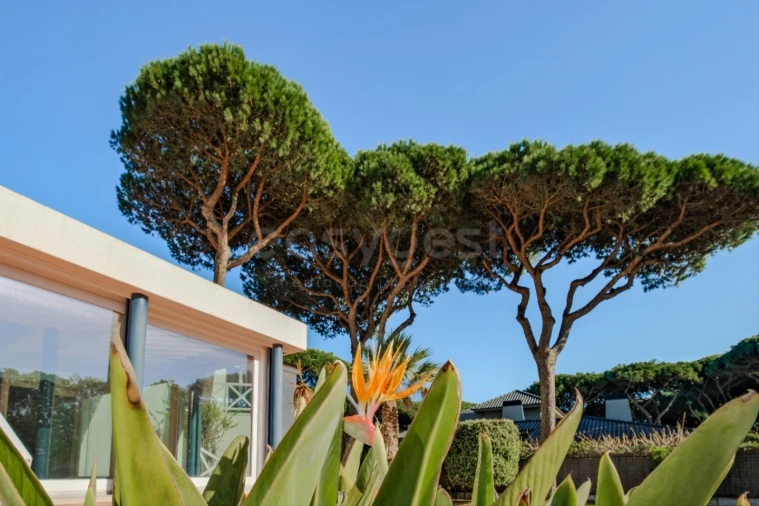 Moradia T8 para Venda em Cascais e Estoril Foto 4