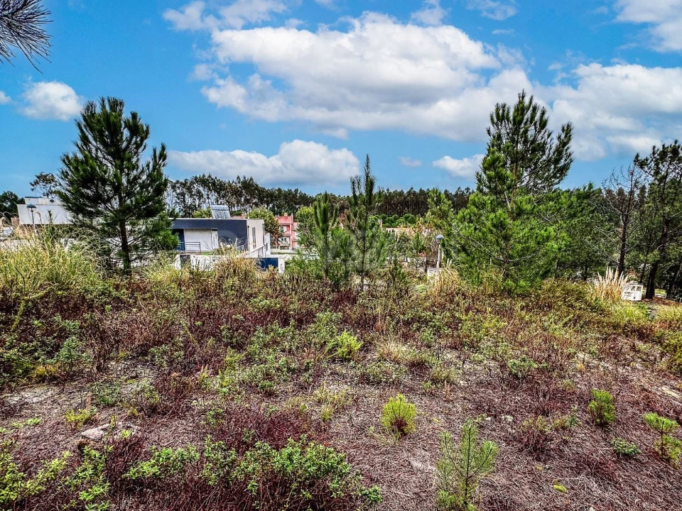 Terreno para Venda em Santa Maria, São Pedro e Matacães Foto 10
