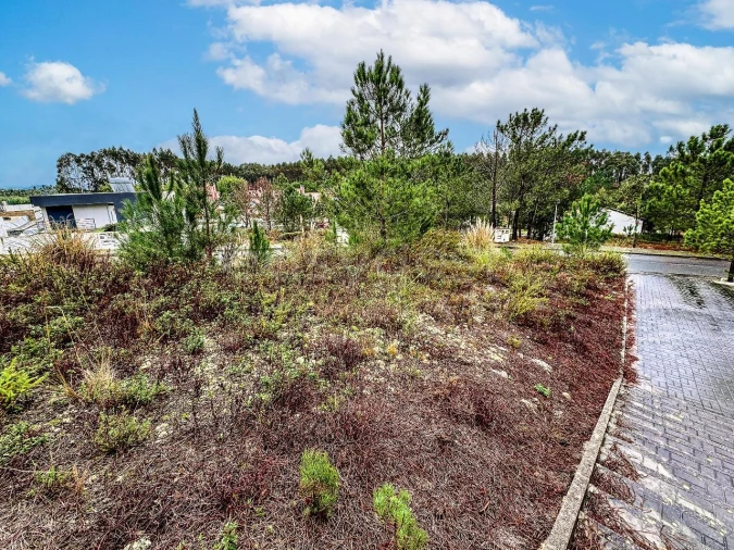Terreno para Venda em Santa Maria, São Pedro e Matacães Foto 4