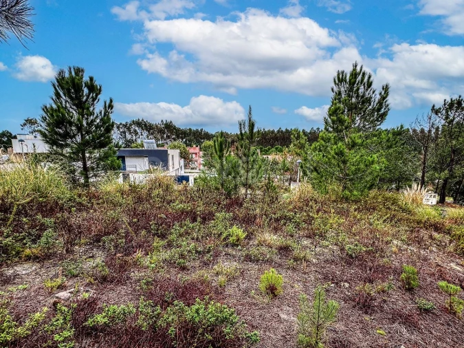 Terreno para Venda em Santa Maria, São Pedro e Matacães Foto 10