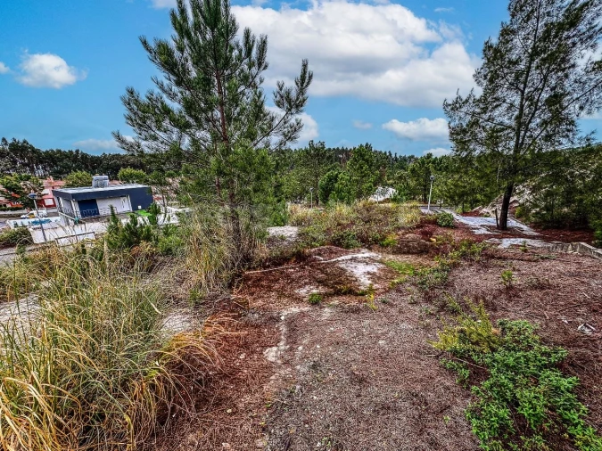 Terreno para Venda em Santa Maria, São Pedro e Matacães Foto 12