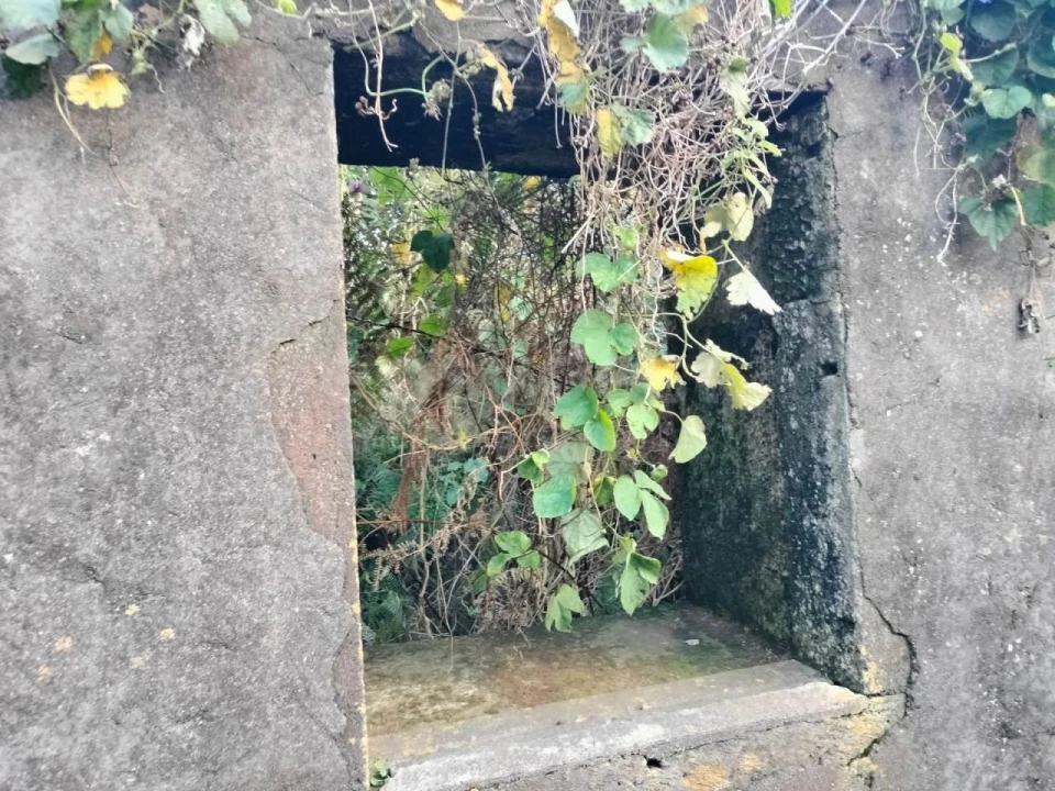 Moradia T1 para Venda em Lajes Foto 12