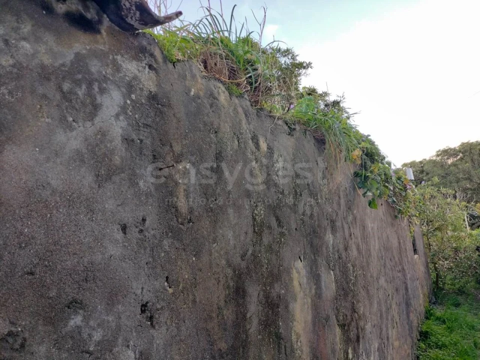 Moradia T1 para Venda em Lajes Foto 13