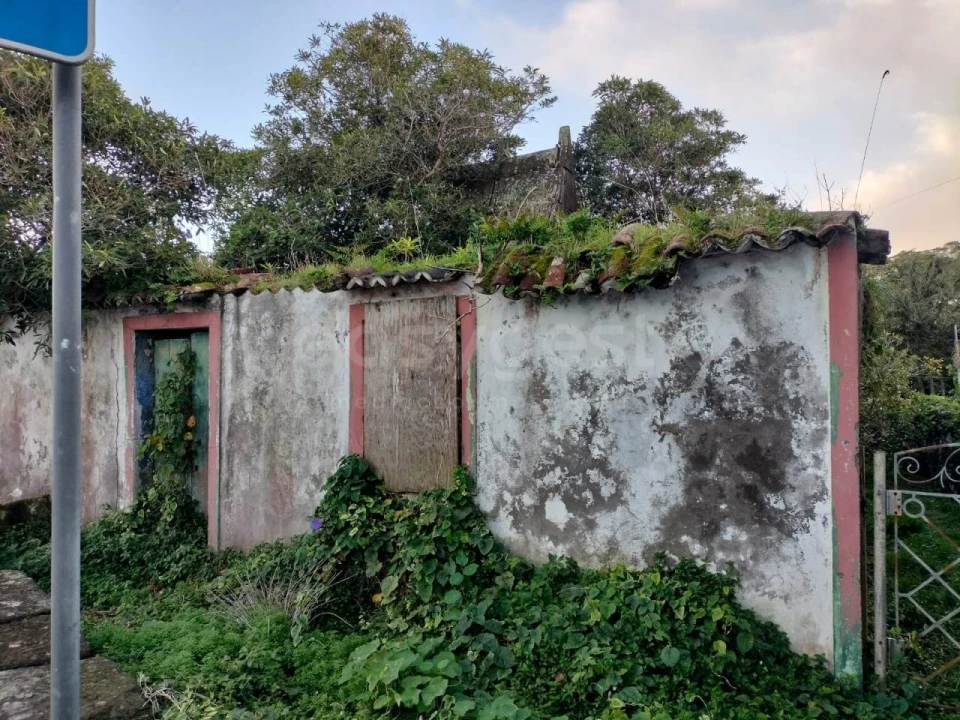 Moradia T1 para Venda em Lajes Foto 17