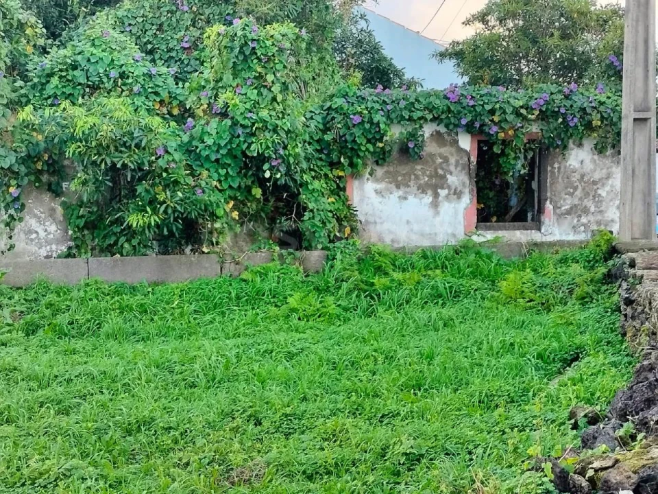 Moradia T1 para Venda em Lajes Foto 23