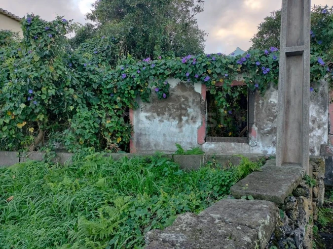 Moradia T1 para Venda em Lajes Foto 6