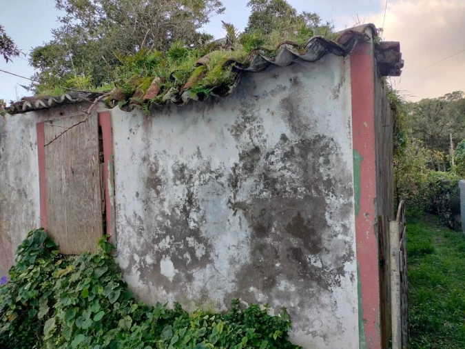 Moradia T1 para Venda em Lajes Foto 8