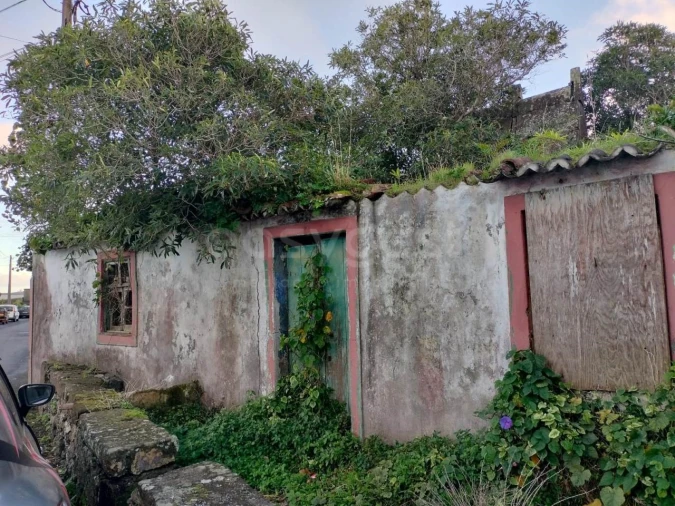 Moradia T1 para Venda em Lajes Foto 11