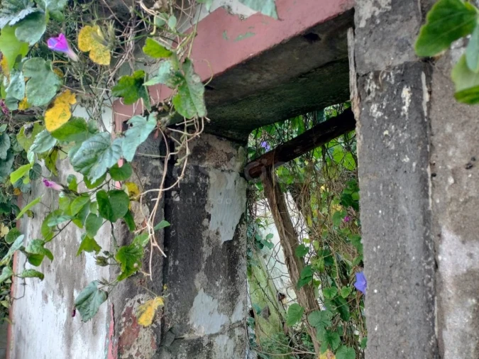 Moradia T1 para Venda em Lajes Foto 18