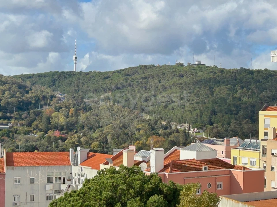Apartamento T1 para Venda em Campo de Ourique Foto 6