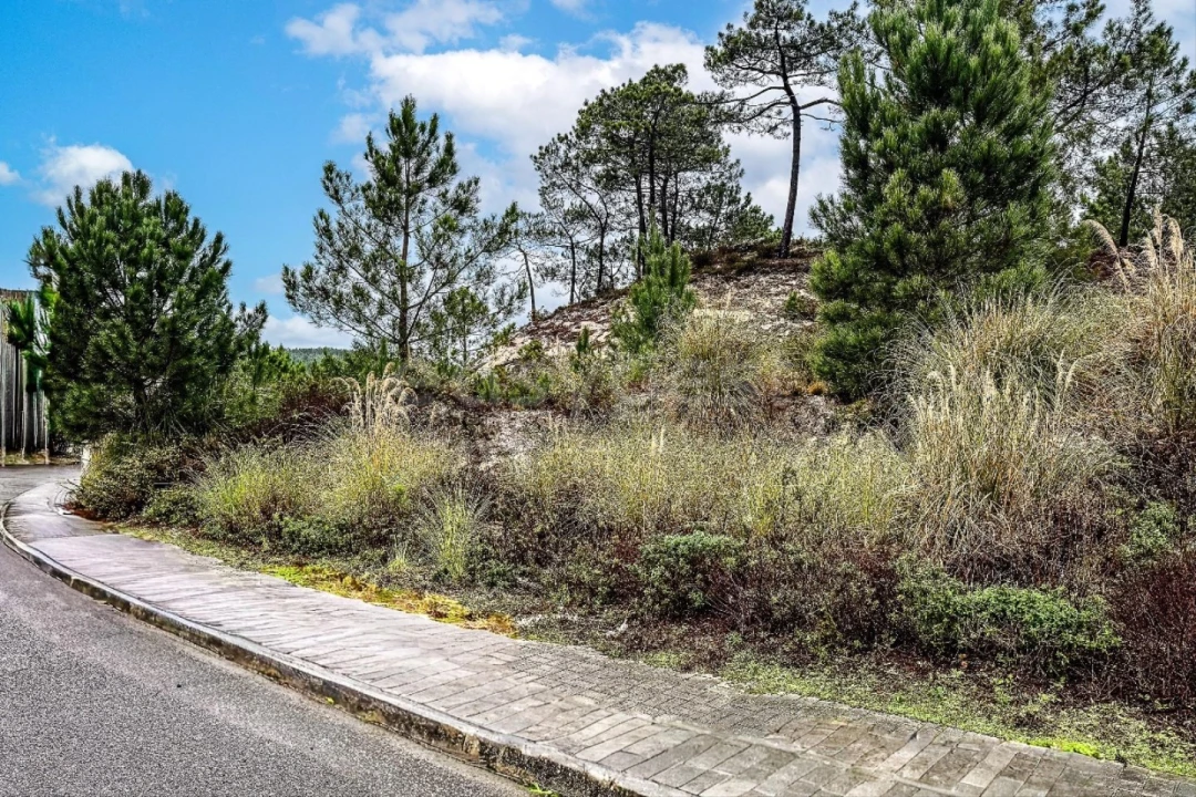 Terreno para Venda em Santa Maria, São Pedro e Matacães Foto 6