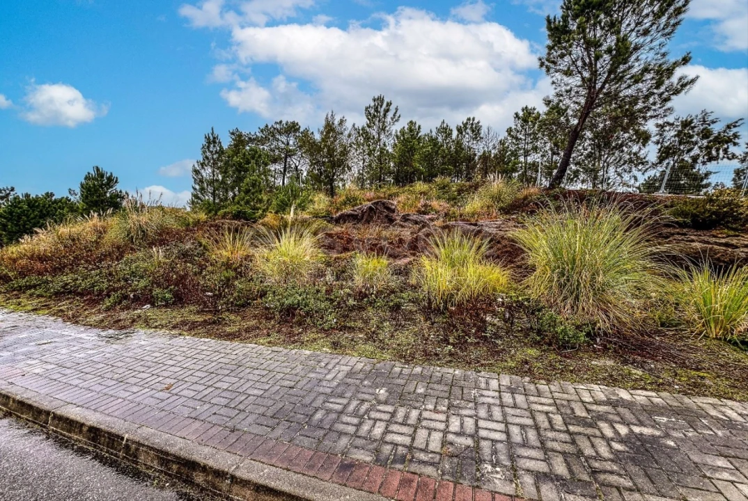 Terreno para Venda em Santa Maria, São Pedro e Matacães Foto 9