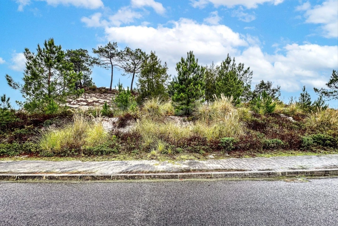 Terreno para Venda em Santa Maria, São Pedro e Matacães Foto 10