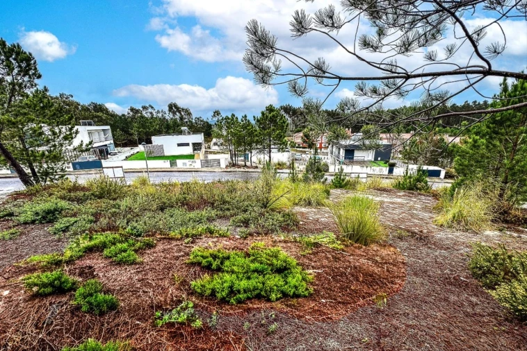Terreno para Venda em Santa Maria, São Pedro e Matacães Foto 4