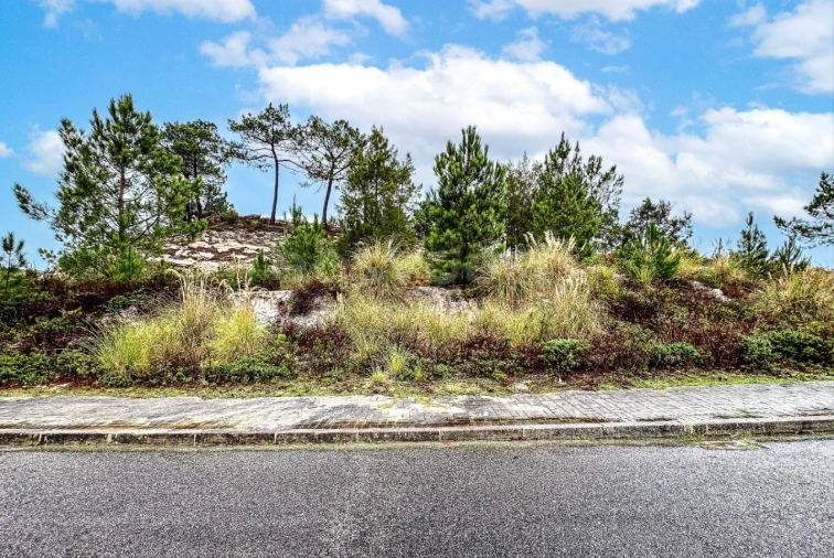 Terreno para Venda em Santa Maria, São Pedro e Matacães Foto 10