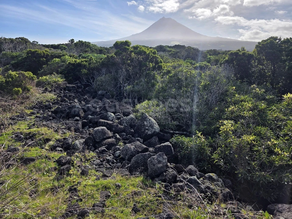 Terreno para Venda em Madalena Foto 1