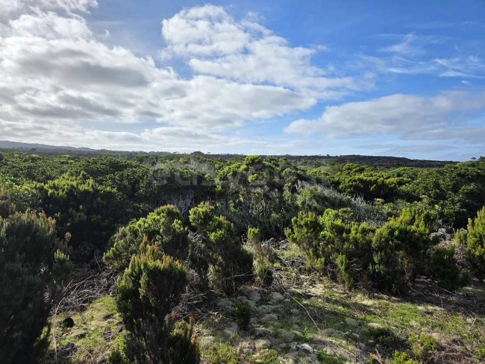Terreno para Venda em Madalena Foto 2
