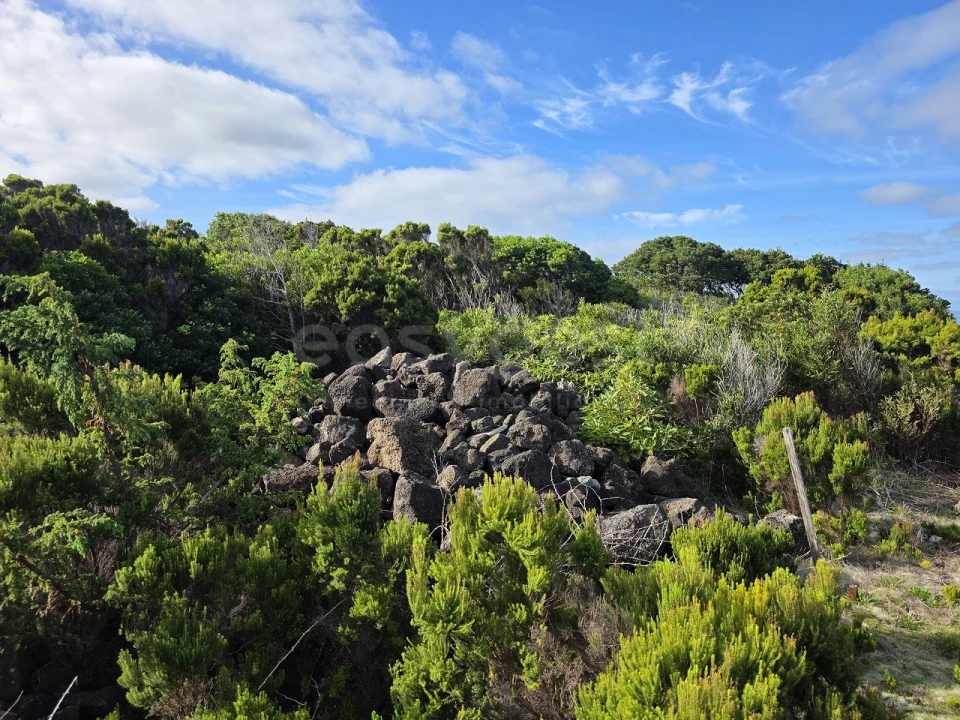 Terreno para Venda em Madalena Foto 3