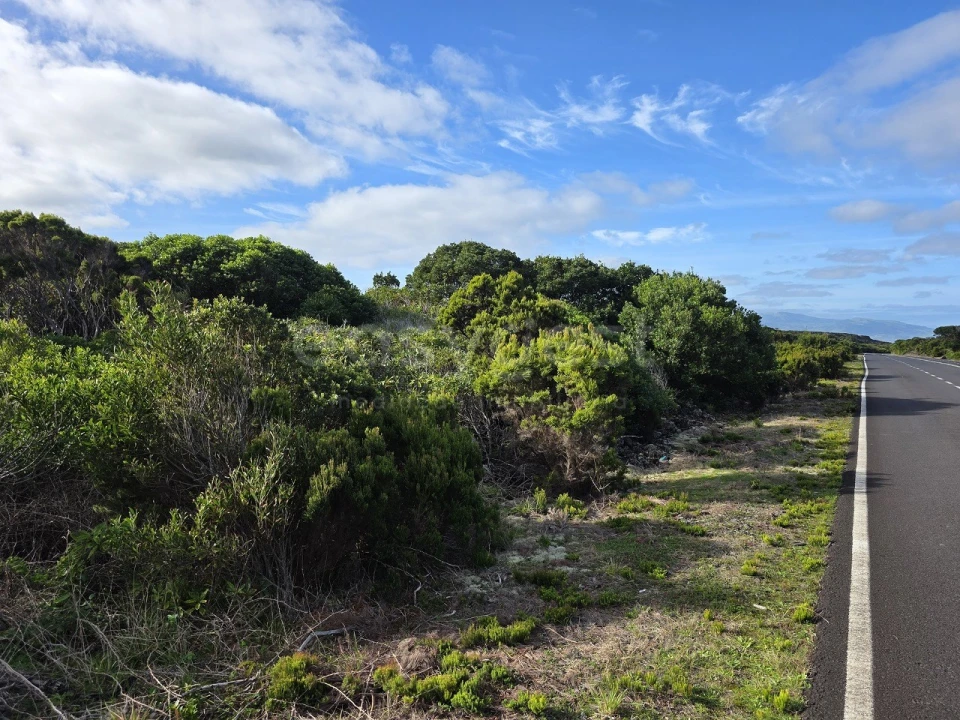 Terreno para Venda em Madalena Foto 4