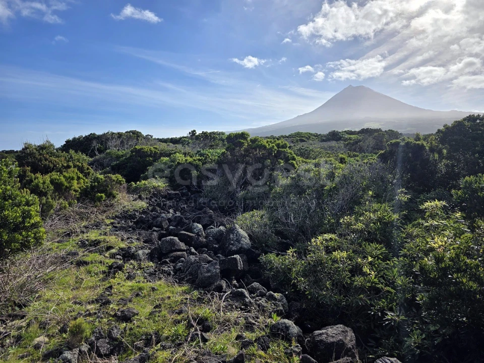 Terreno para Venda em Madalena Foto 7