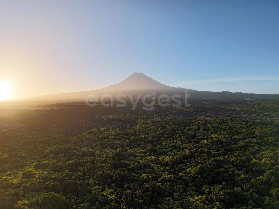 Terreno para Venda em Madalena Foto 5