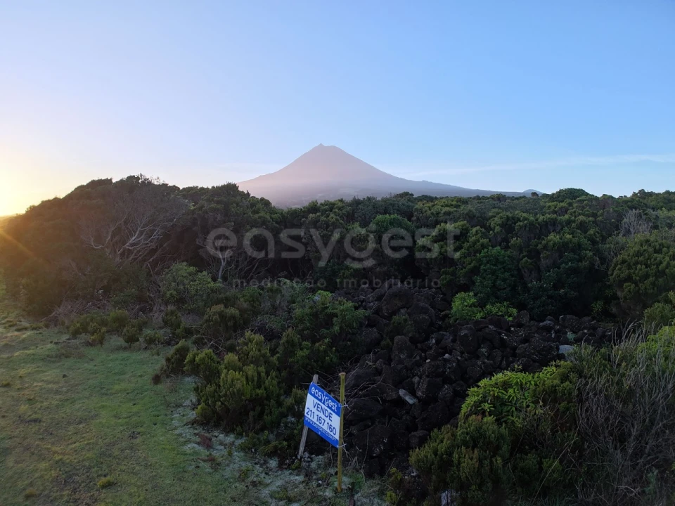 Terreno para Venda em Madalena Foto 6