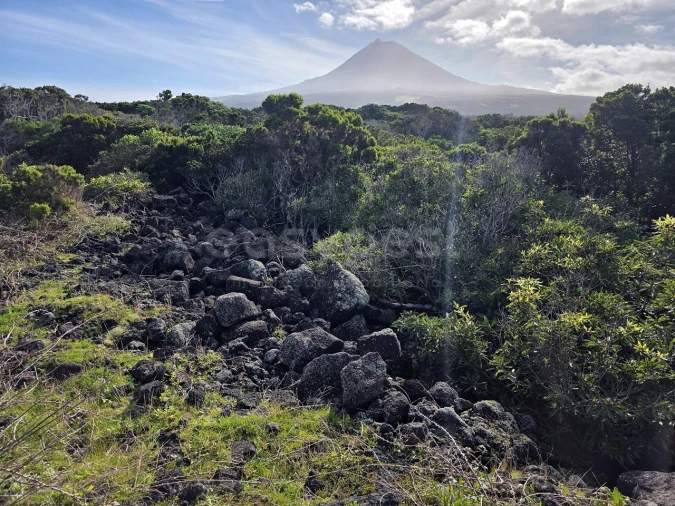 Terreno para Venda em Madalena Foto 1