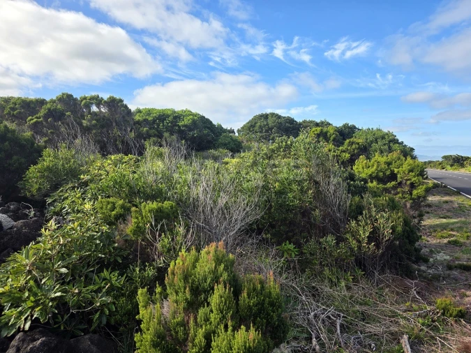Terreno para Venda em Madalena Foto 6