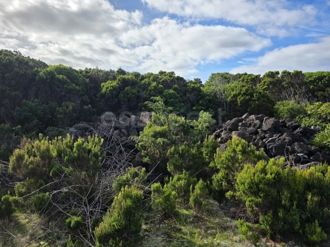 Terreno para Venda em Madalena Foto 9