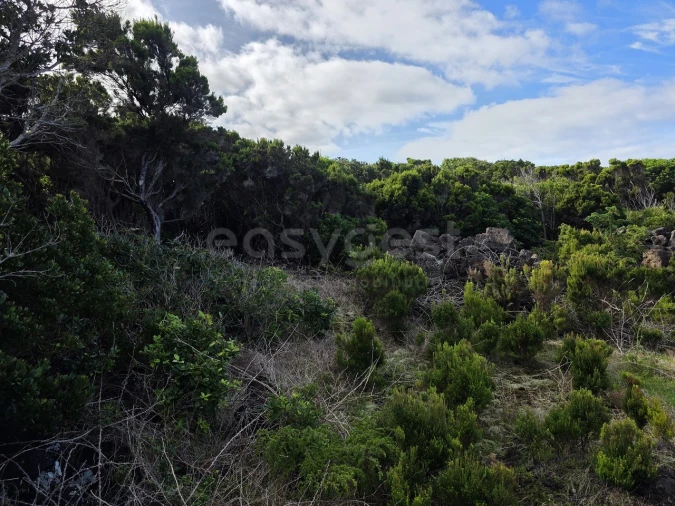 Terreno para Venda em Madalena Foto 10