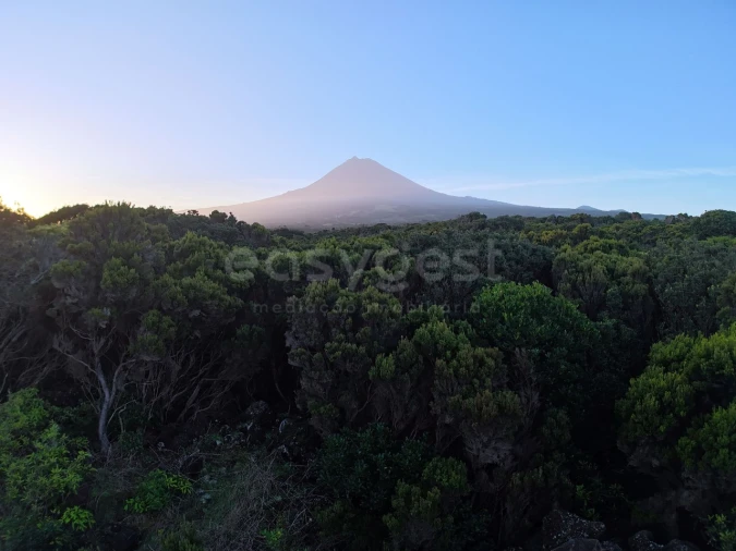 Terreno para Venda em Madalena Foto 1