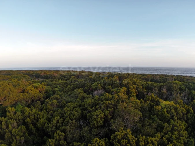 Terreno para Venda em Madalena Foto 2