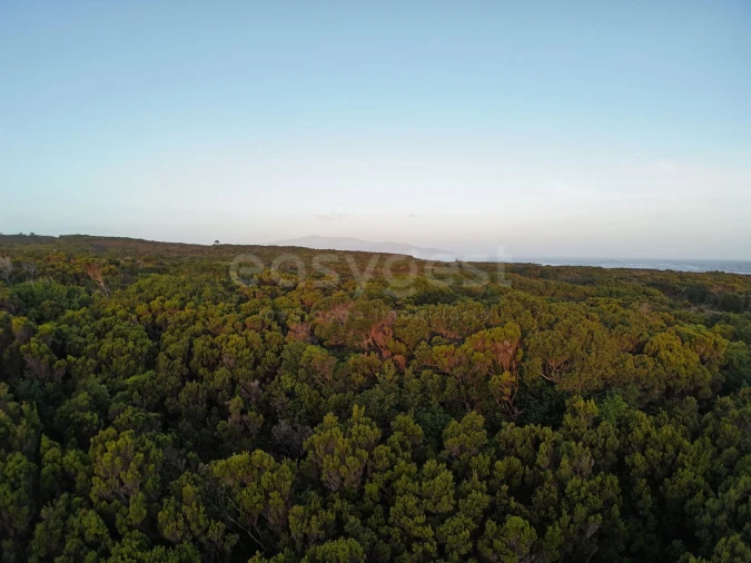 Terreno para Venda em Madalena Foto 3