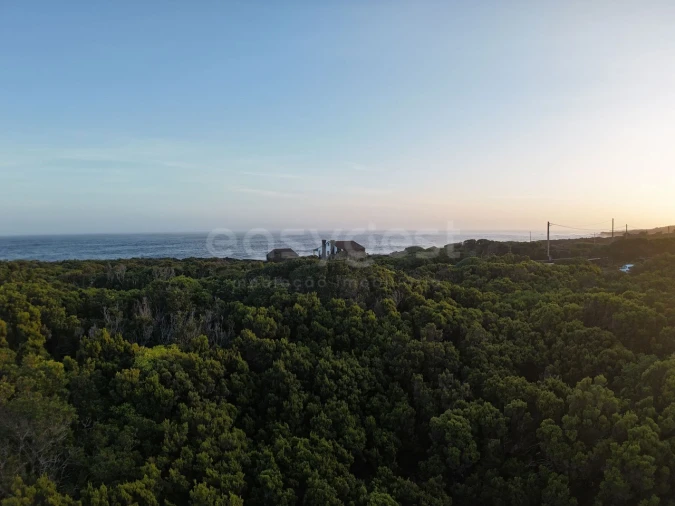 Terreno para Venda em Madalena Foto 14