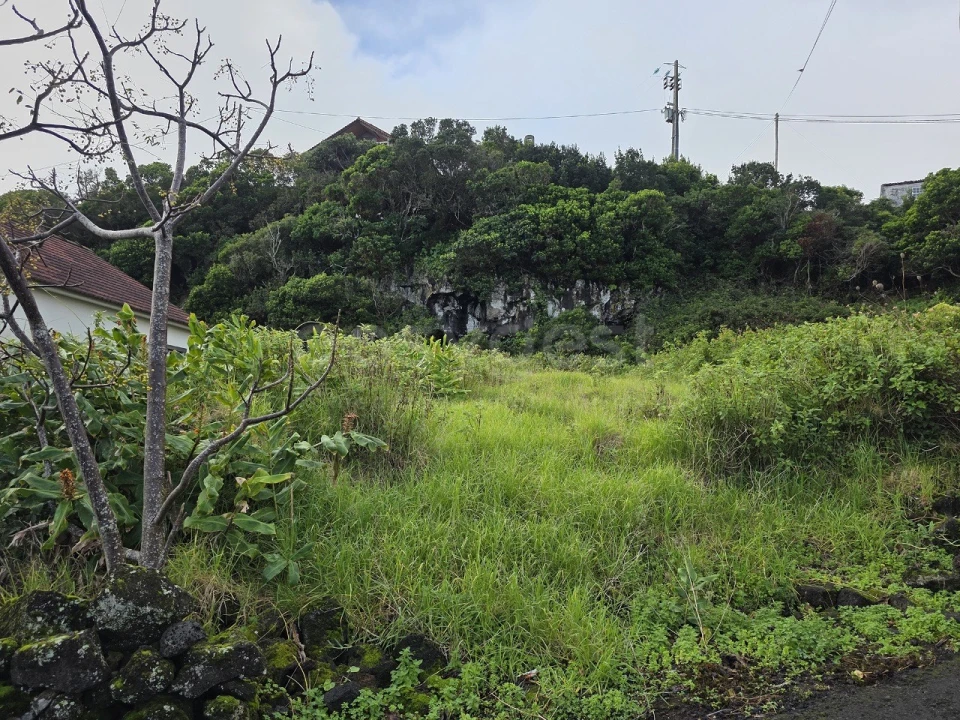 Terreno para Venda em Piedade Foto 4