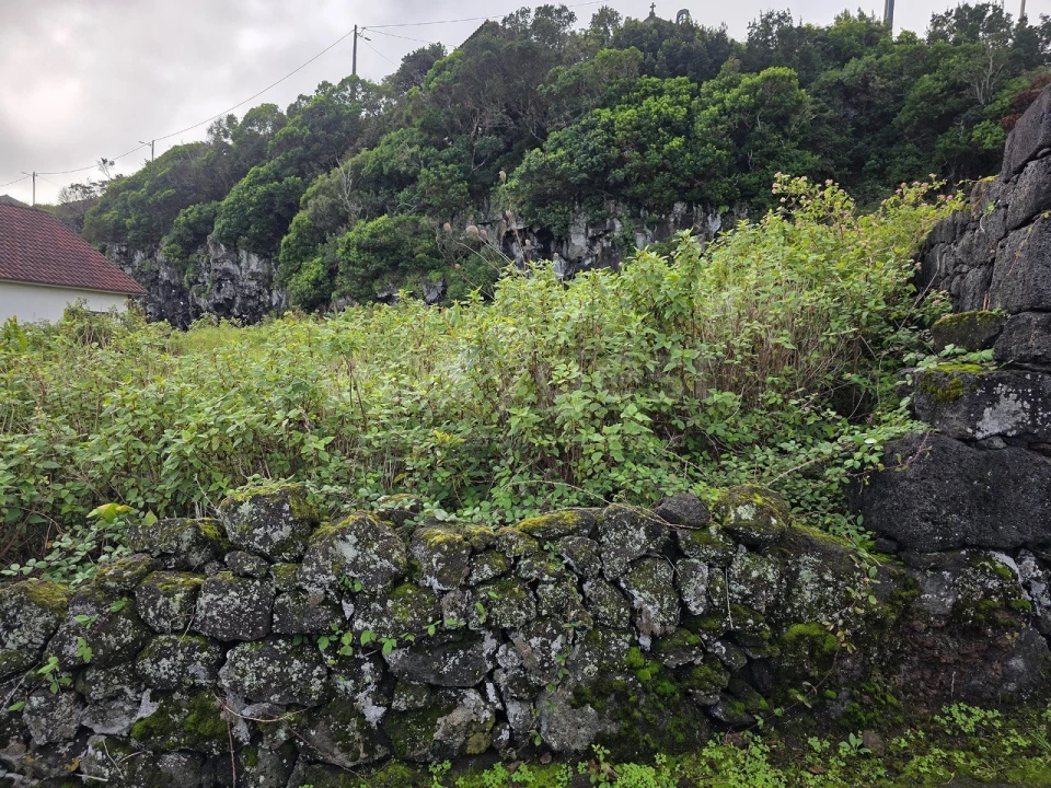 Terreno para Venda em Piedade Foto 6