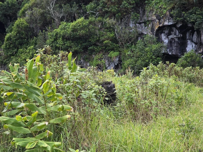 Terreno para Venda em Piedade Foto 12