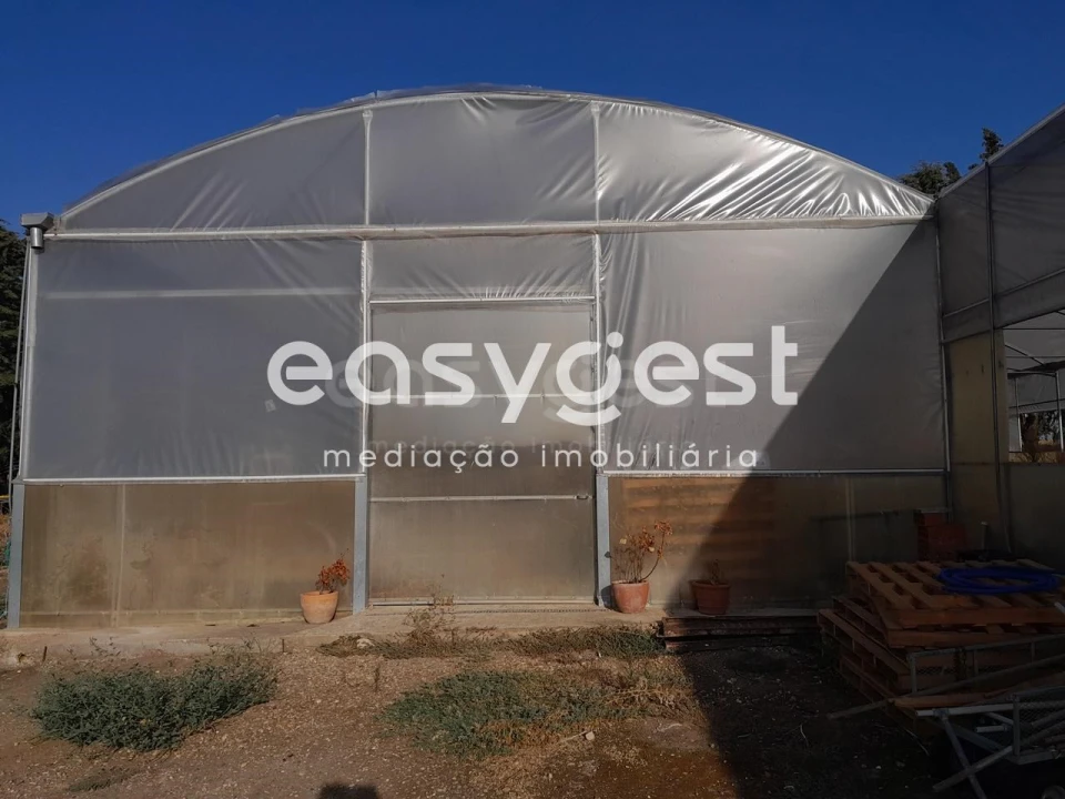 Quinta T4 para Venda em Santa Vitória e Mombeja Foto 4