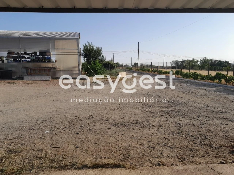 Quinta T4 para Venda em Santa Vitória e Mombeja Foto 18