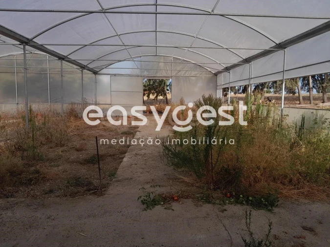 Quinta T4 para Venda em Santa Vitória e Mombeja Foto 2