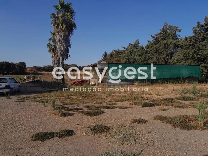 Quinta T4 para Venda em Santa Vitória e Mombeja Foto 5